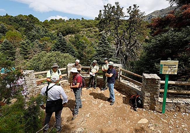 Las Escaleretas, 450 years old and in decline.