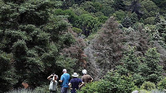 Drought and survival in the Sierra de las Nieves