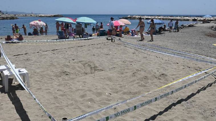 Watch as a loggerhead turtle nests for only the second time ever on a Costa del Sol beach