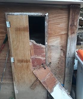 Imagen secundaria 2 - Damage caused to the arboretum.