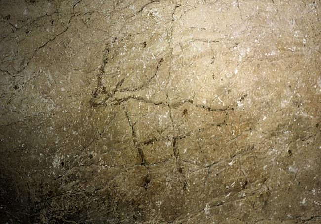The La Victoria cave has some unique cave paintings.