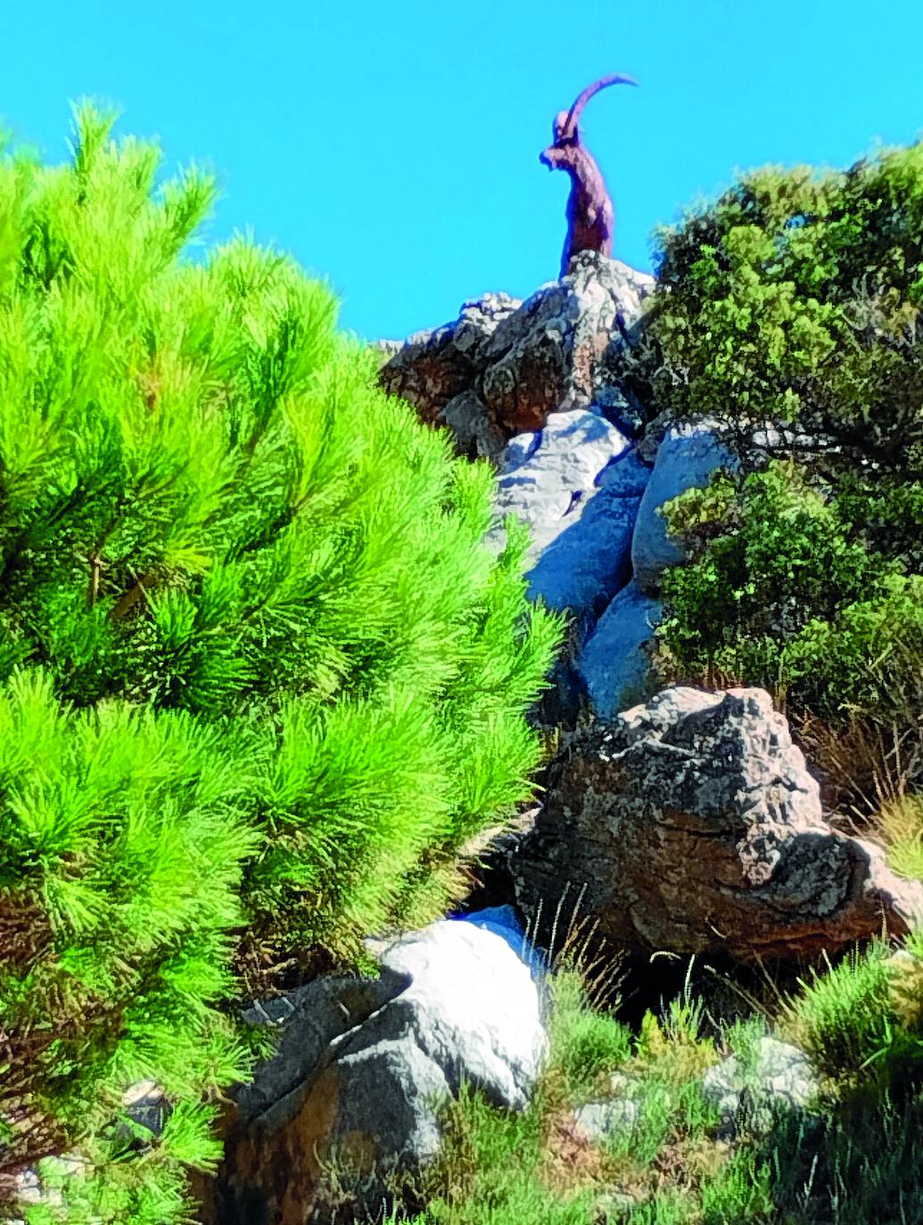 A realistic mountain goat sculpture looks over the viewpoint towards Marbella.