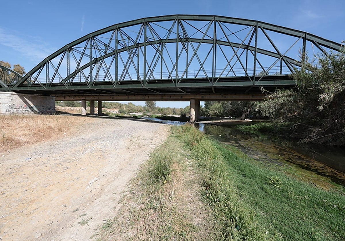 The Guadalhorce river as it passes through Estación de Cártama.