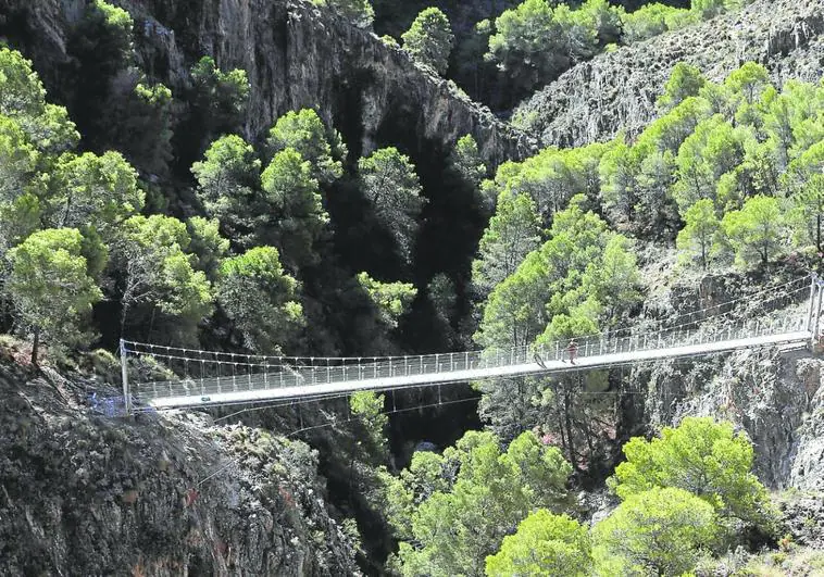 The suspension bridge over the river Almanchares has become a hiking landmark.