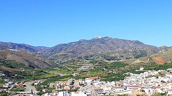 Axarquía marijuana plantation busted in Operation Baticate