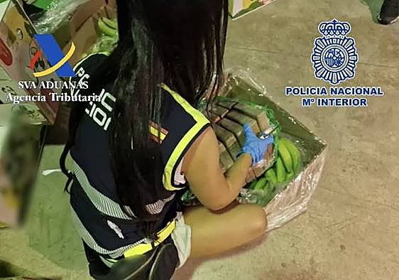 Albanian gang smuggled five tons of cocaine hidden in bananas through Malaga port