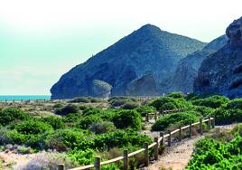 Walking the Andalucía region’s most striking coastline