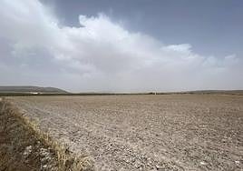 Crop field affected by drought in Antequera.