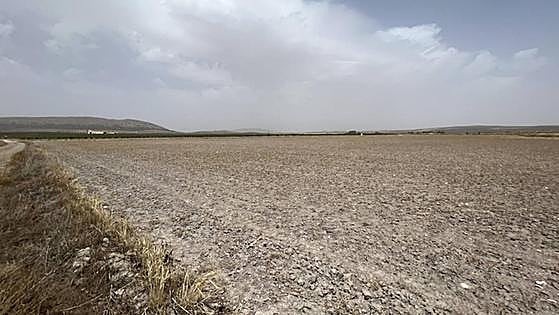 Drought takes its toll in Andalucía with less agricultural production and more expensive food