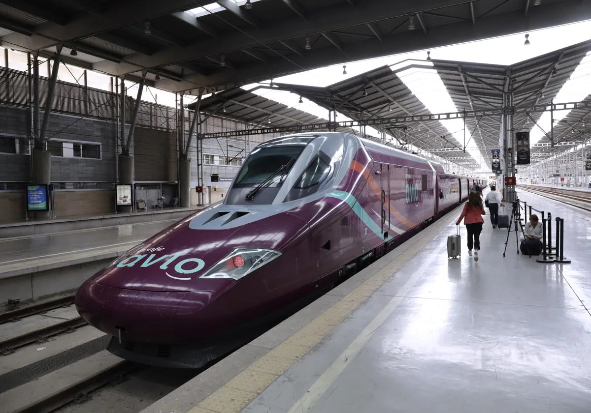 Renfe&#039;s low-cost high-speed Avlo trains to allow pets up to 10 kilos to travel for 10 euros