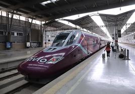 Renfe's low-cost high-speed Avlo trains to allow pets up to 10 kilos to travel for 10 euros