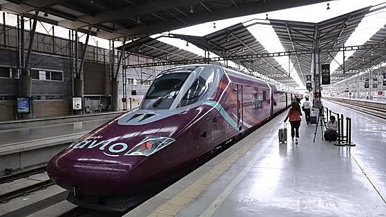 Renfe's low-cost high-speed Avlo trains to allow pets up to 10 kilos to travel for 10 euros