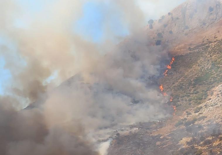 Plan Infoca aircraft and ground crews bring wildfire in Antequera under control
