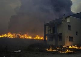 Flames ravage everything in their path in the Greek region of Volos.