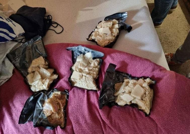 Gang that coordinated international drugs transport busted on Costa del Sol