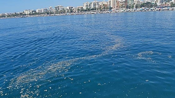 Axarquía beachgoers complain about 'filthy' sea
