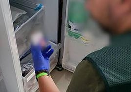 Woman arrested for performing cosmetic treatments without qualifications at her home in La Cala de Mijas