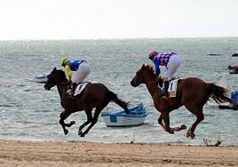 The races are a spectacle admired all over the world.