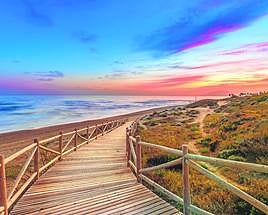 A section of the path through the dunes.