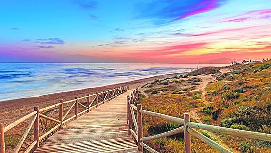 Artola Dunes: an oasis of nature amid the urban sprawl of the Costa del Sol