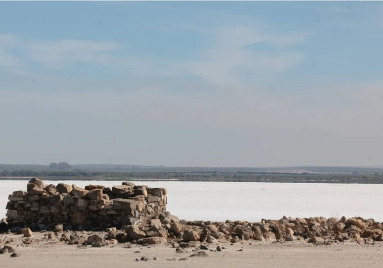 The Fuente de Piedra lagoon is dry this year and flamingos have not been able to nest.