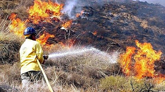 Big drop in surface area affected by wildfires in Andalucía so far this summer