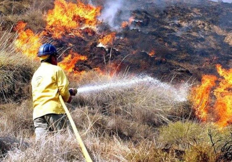 Big drop in surface area affected by wildfires in Andalucía so far this summer