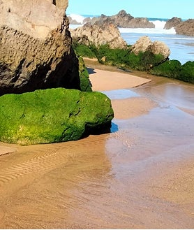 Imagen secundaria 2 - Viveiro and surroundings.