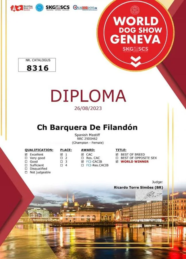 Diploma accrediting Barquera de Filandón as the best Spanish Mastiff in the world.