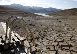 Fear of water shortages slows the cultivation of vegetables and planting of second crops in the province