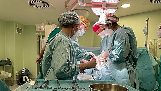 Malaga hospital marks medical milestone by performing an average of four kidney transplants a week