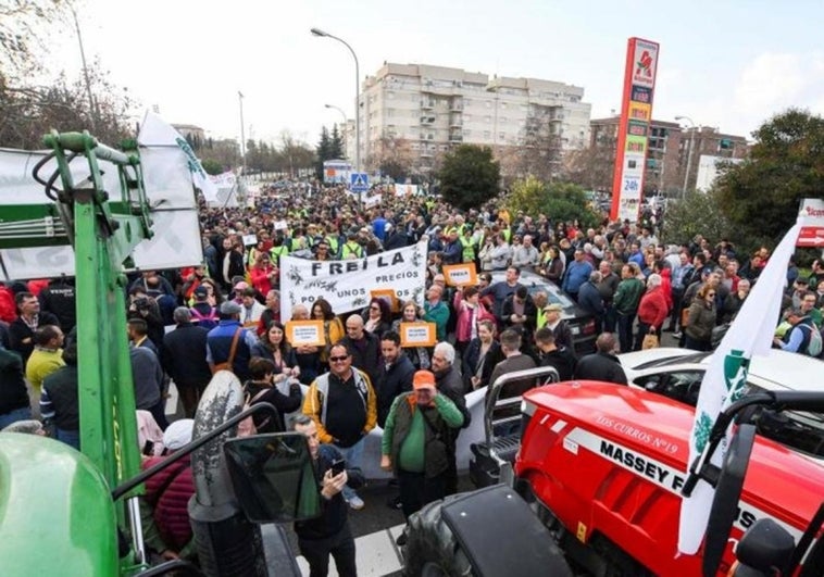 Malaga farmers to join huge demonstration to protest stricter EU agricultural policies
