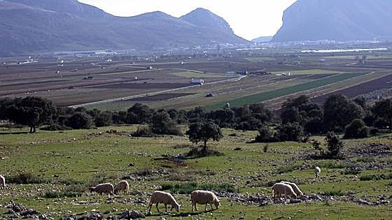 Zafarraya: Marking a border or shepherds' fields
