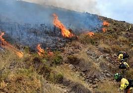 Helicopters, planes and more than 100 specialists stabilise major wildfire in Benahavís on the Costa del Sol