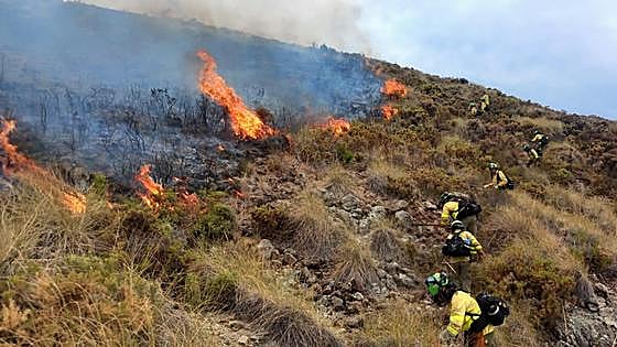 Helicopters, planes and more than 100 specialists stabilise major wildfire in Benahavís on the Costa del Sol