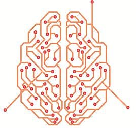 The mysteries of the brain