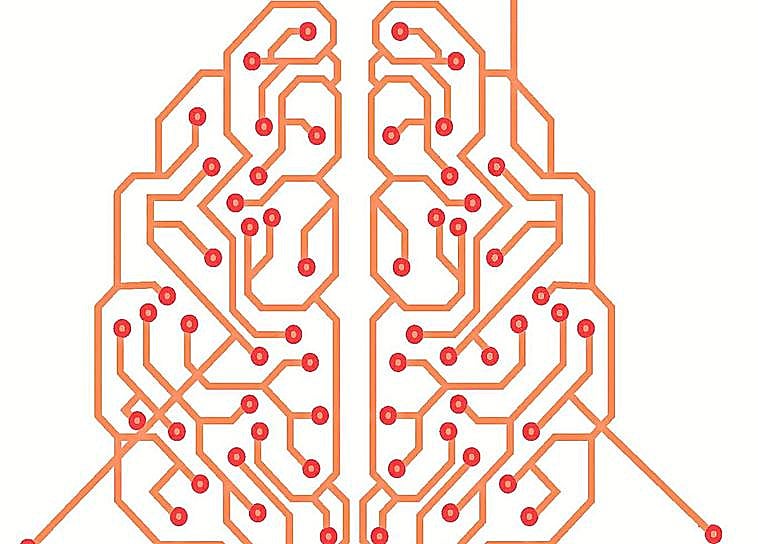 The mysteries of the brain
