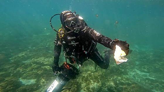 Divers invited to take part in seabed clean up