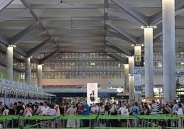 Malaga Airport check-in desks at the beginning of August.