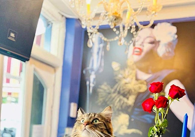 Billy’s Piano Bar, Torremolinos