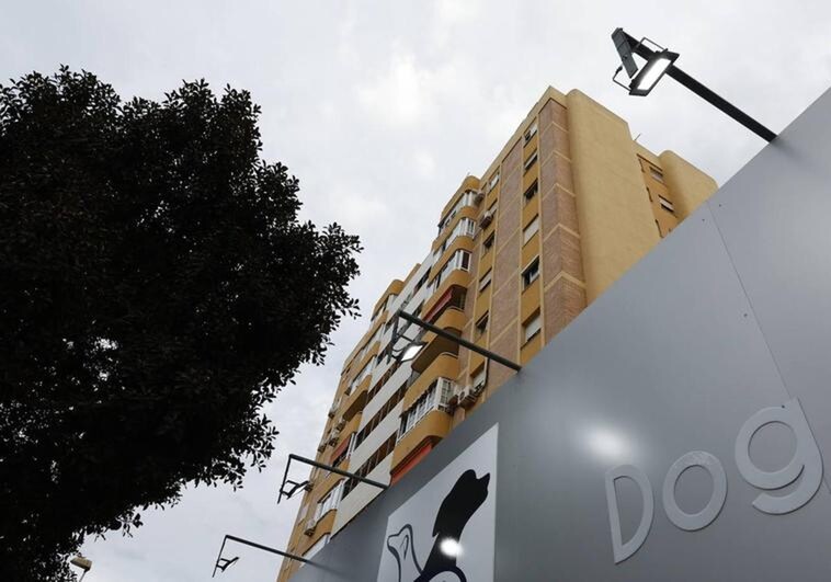 The alleged incident took place in one of the tower blocks on Avenida Carlos Haya in Malaga.