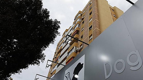 Man could face two-year prison sentence for allegedly killing his mother's dog by throwing it from eleventh floor in Malaga