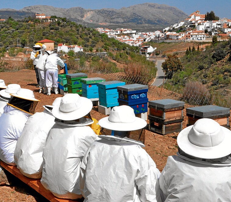 Colmenar: The village that tastes of honey