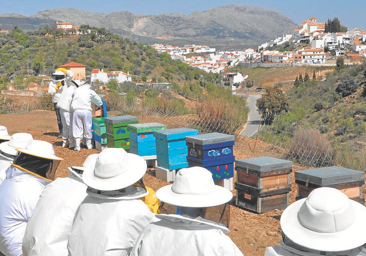 A guided visit organised by Colmenar’s honey museum.