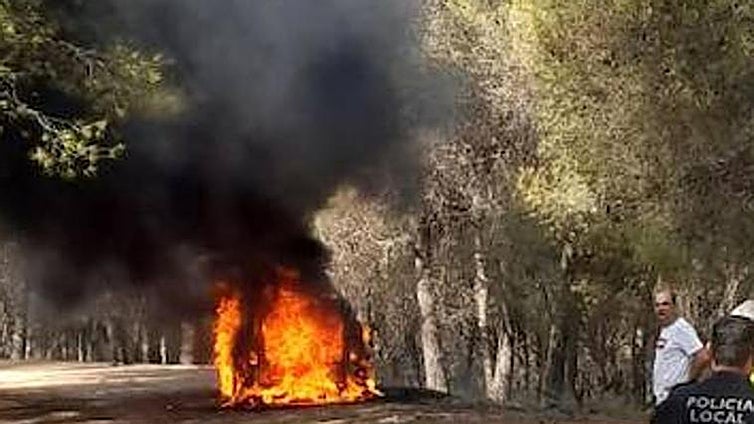 Firefighters act fast to prevent a forest fire in Alhaurín after vehicle bursts into flames
