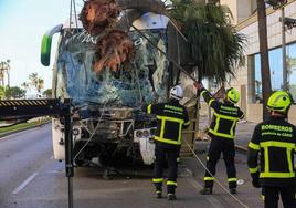 Three people dead and one seriously injured after bus ploughs into pedestrians in south of Spain