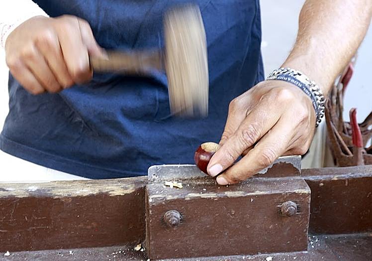 Splitting the chestnut with a hammer is a routine movement for Carlos Santiago.