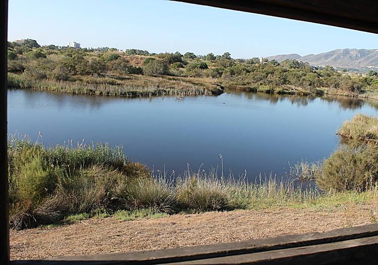 Viewpoint at the mouth of the Guadalhorce.