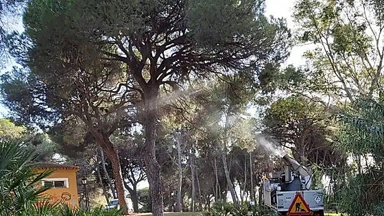 Marbella opens several new barbecue areas in its parks