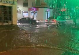 In pictures: Storm leaves fallen branches, flooded streets and power cuts across Malaga province